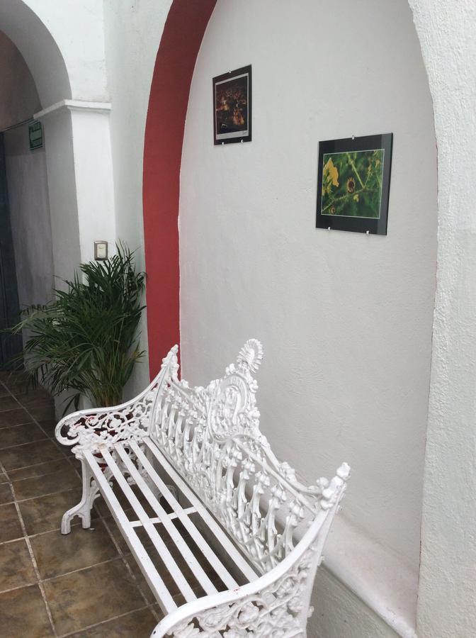 Hotel Casa Rocinante Guanajuato Ngoại thất bức ảnh